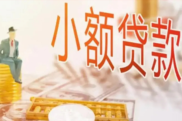 成都17私人身份证借私借-成都17个人上门小额贷款-成都17短借公证